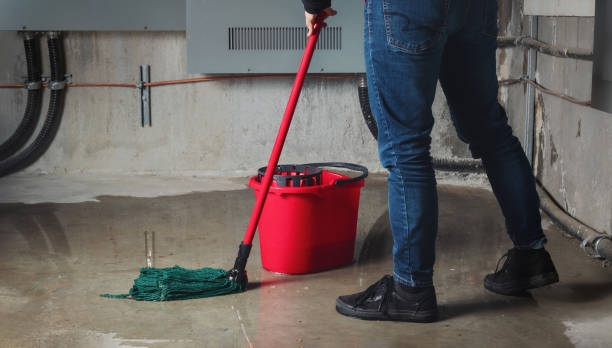 Best Ceiling water damage repair  in Spencer, WI