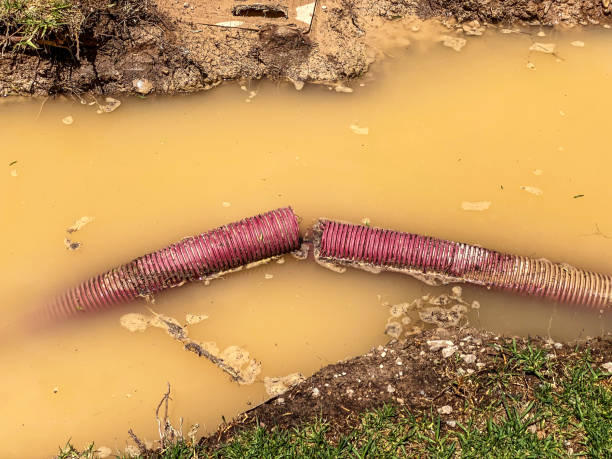 Best Commercial water damage restoration  in Spencer, WI