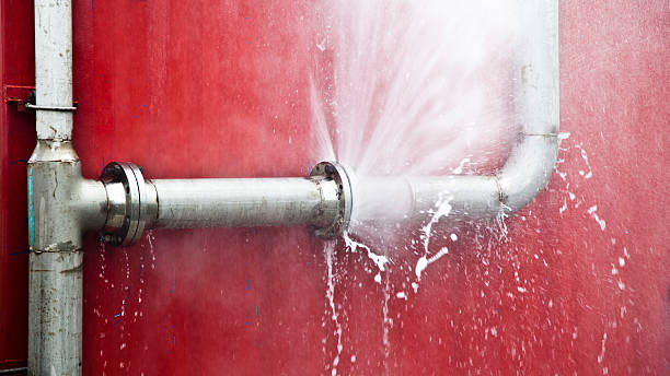 Best Professional water damage repair  in Spencer, WI